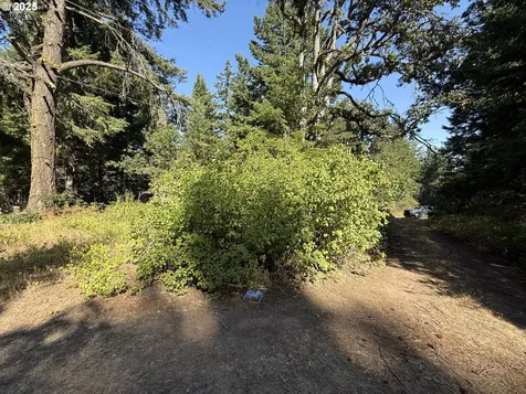 121 Cooke Road White Salmon WA 98672