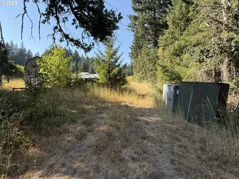 121 Cooke Road White Salmon WA 98672