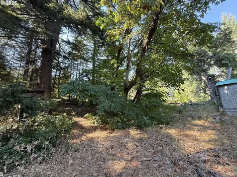 121 Cooke Road White Salmon WA 98672