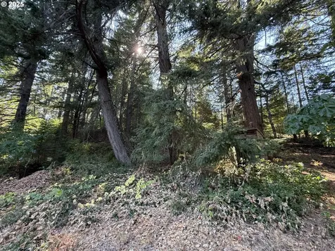 121 Cooke Road White Salmon WA 98672