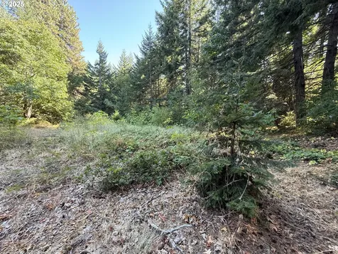 121 Cooke Road White Salmon WA 98672