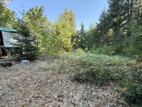 121 Cooke Road White Salmon WA 98672