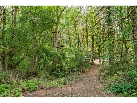 31385 NW Milne Street Hillsboro OR 97124