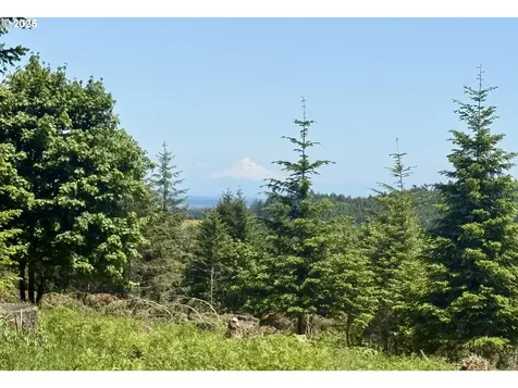 11894 SW Dupee Valley Road Mcminnville OR 97128