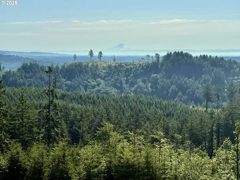 11894 SW Dupee Valley Road Mcminnville OR 97128