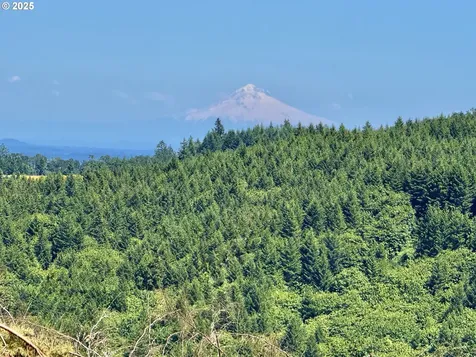 11894 SW Dupee Valley Road Mcminnville OR 97128