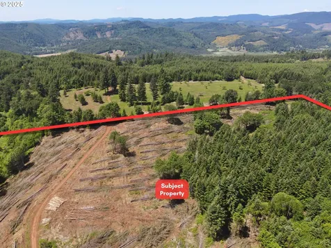 11894 SW Dupee Valley Road Mcminnville OR 97128