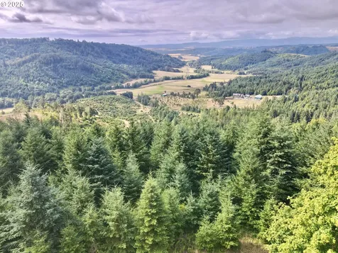 11894 SW Dupee Valley Road Mcminnville OR 97128