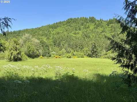 11894 SW Dupee Valley Road Mcminnville OR 97128