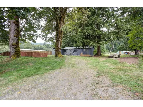 16790 Lewis River Road Cougar WA 98616