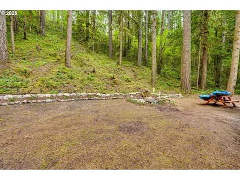 128 Northwoods Cabin Cougar WA 98616