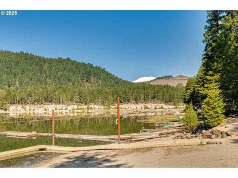 128 Northwoods Cabin Cougar WA 98616