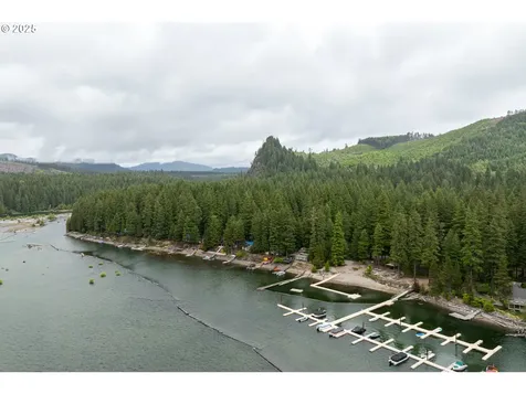 128 Northwoods Cabin Cougar WA 98616