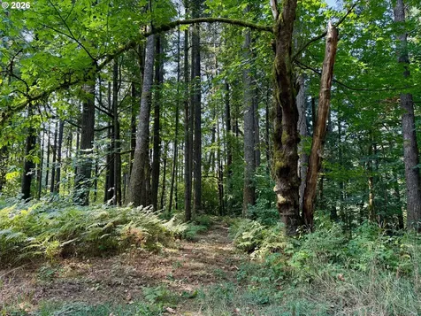 39143 SE Gibson Road Washougal WA 98671