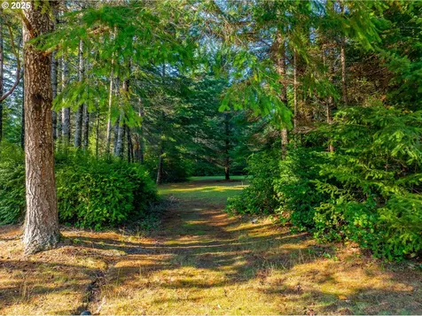 89494 Sunny Loop Lane Bandon OR 97411