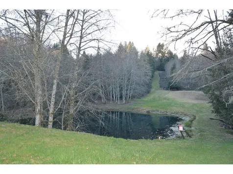 255 Trout Lakes Road Castle Rock WA 98611