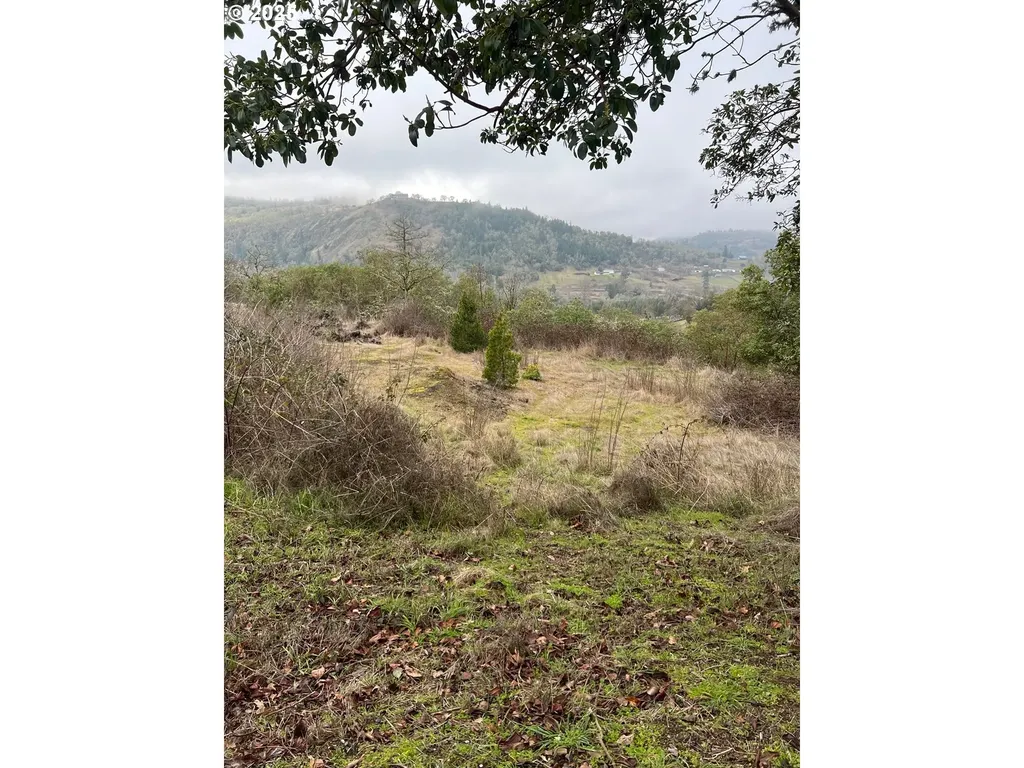 320 Horizon Lane Myrtle Creek OR 97457