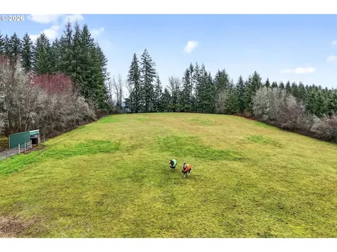 39310 NE 6th Avenue Woodland WA 98674