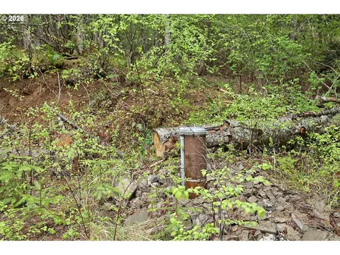 565 Canyon Road Lyle WA 98635