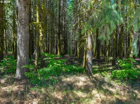 25420 NW Pumpkin Ridge Road North Plains OR 97133