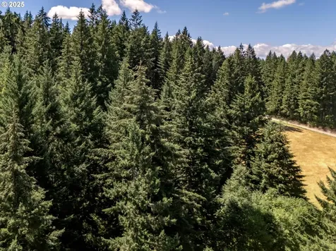 25420 NW Pumpkin Ridge Road North Plains OR 97133