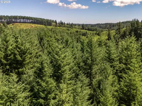 25420 NW Pumpkin Ridge Road North Plains OR 97133