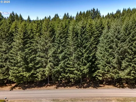 25420 NW Pumpkin Ridge Road North Plains OR 97133