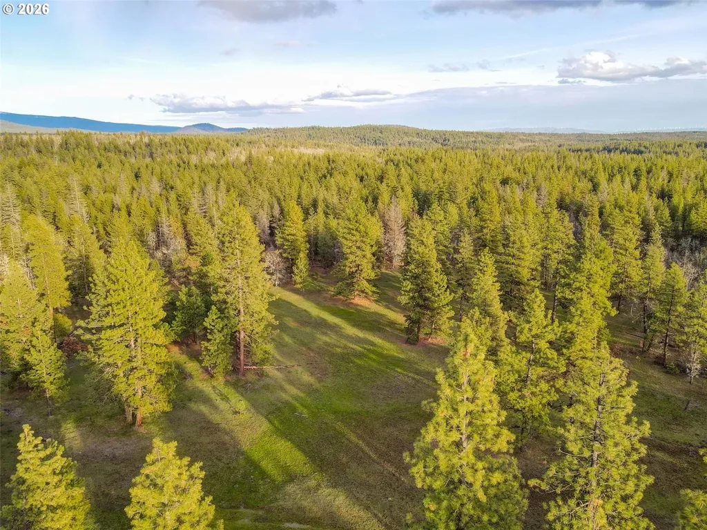 0 Lot 8 Greyback Mtn Road Goldendale WA 98620