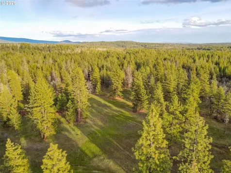 0 Lot 8 Greyback Mtn Road Goldendale WA 98620
