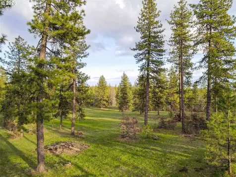 0 Lot 8 Greyback Mtn Road Goldendale WA 98620