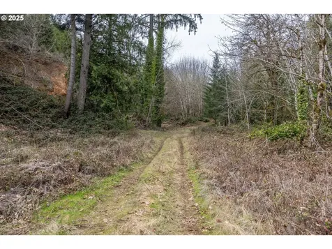 Kenady Lane Lot 401 Cottage Grove OR 97424