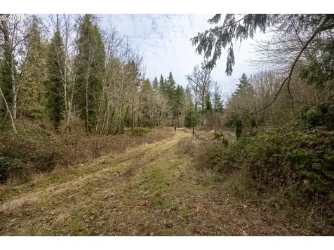 Kenady Lane Lot 401 Cottage Grove OR 97424