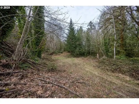 Kenady Lane Lot 401 Cottage Grove OR 97424