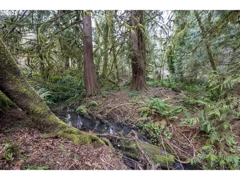Kenady Lane Lot 401 Cottage Grove OR 97424