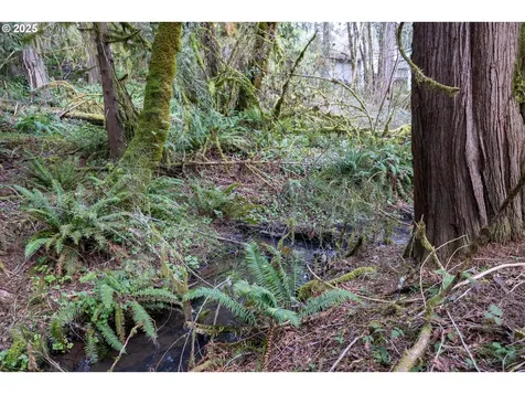 Kenady Lane Lot 401 Cottage Grove OR 97424