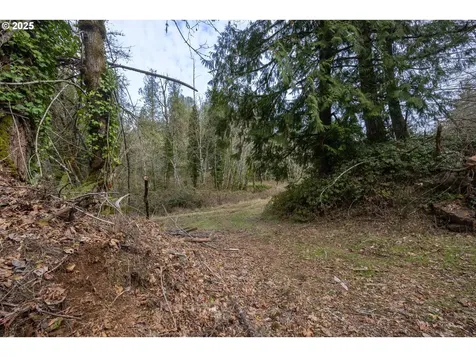 Kenady Lane Lot 401 Cottage Grove OR 97424