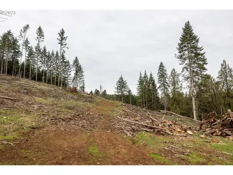 Kenady Lane Lot 401 Cottage Grove OR 97424