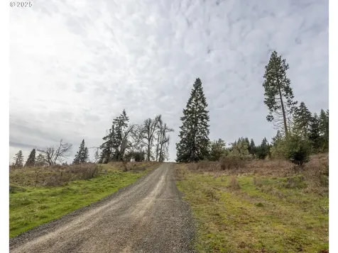 Kenady Lane Lot 401 Cottage Grove OR 97424