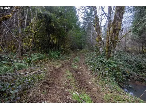 Kenady Lane Lot 401 Cottage Grove OR 97424