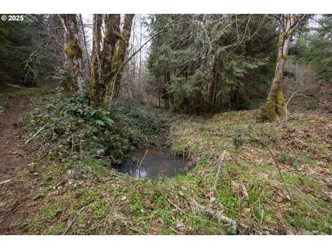 Kenady Lane Lot 401 Cottage Grove OR 97424
