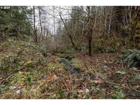 Kenady Lane Lot 401 Cottage Grove OR 97424