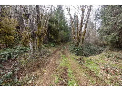 Kenady Lane Lot 401 Cottage Grove OR 97424