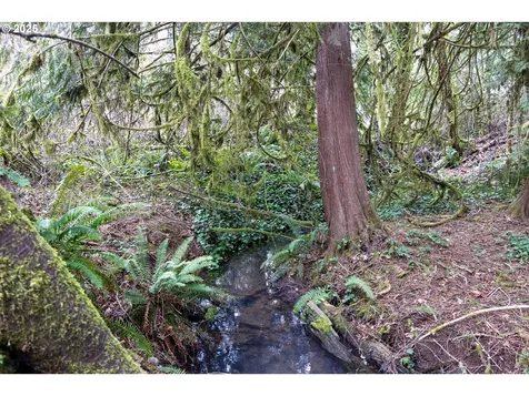 Kenady Lane Lot 401 Cottage Grove OR 97424