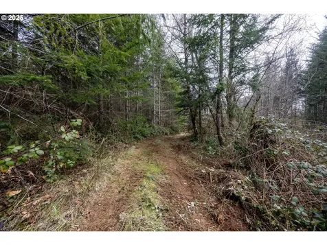 Kenady Lane Lot 401 Cottage Grove OR 97424