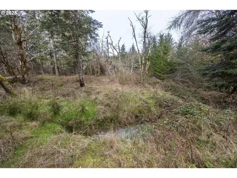 Kenady Lane Lot 401 Cottage Grove OR 97424
