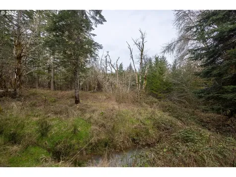 Kenady Lane Lot 401 Cottage Grove OR 97424