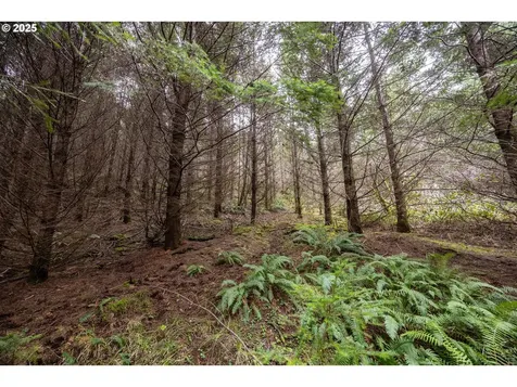 Kenady Lane Lot 401 Cottage Grove OR 97424