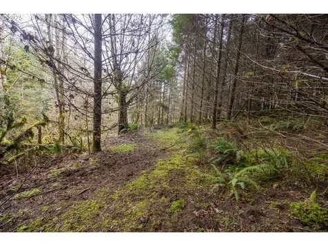 Kenady Lane Lot 401 Cottage Grove OR 97424