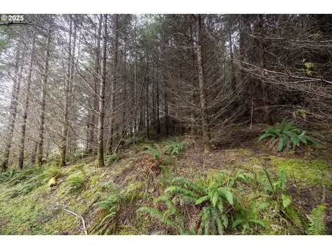 Kenady Lane Lot 401 Cottage Grove OR 97424