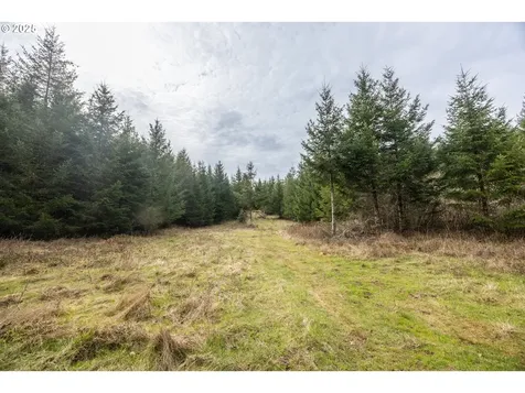 Kenady Lane Lot 401 Cottage Grove OR 97424